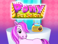 Peli Pony Pet Salon