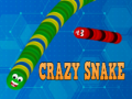Peli Crazy Snake