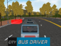 Peli City Bus Driver  