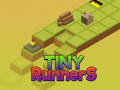 Peli Tiny RunnerS