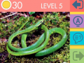 Peli 15 Picture Quiz