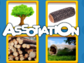 Peli Assotiation 