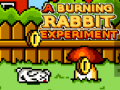 Peli A Burning Rabbit Experiment