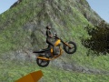 Peli Dirt Bike Rider