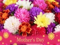 Peli 2019 Mother's Day Puzzle