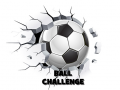 Peli Ball Challenge