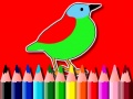 Peli Back To School: Birds Coloring Book