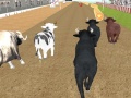 Peli Angry Bull Racing
