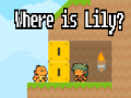 Peli Where is Lily?