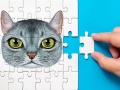 Peli Abyssinian Puzzle Challenge