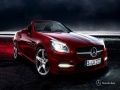 Peli Sports Cars Puzzle