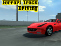 Peli Ferrari Track Driving