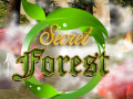 Peli Secret Forest