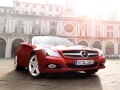 Peli SL Roadster Puzzle