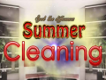 Peli Spot The differences Summer Cleaning