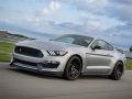 Peli Mustang Shelby Puzzle