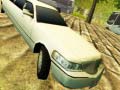 Peli Limousine Driver