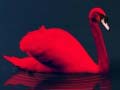 Peli Love Birds Puzzle