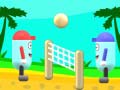 Peli Beach Volleyball