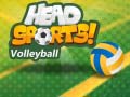 Peli Head Sports Volleyball