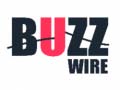 Peli Buzz Wire