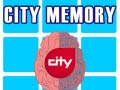 Peli City Memory
