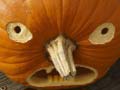 Peli 5 in 1 Picture Puzzle: Halloween