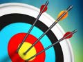 Peli Master Archery Shooting