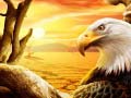Peli Eagle