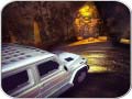Peli Scary Car Driving Simulator