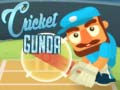 Peli Cricket Gunda
