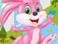 Peli Bunny Run