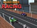 Peli Quad Bike Racing