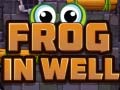 Peli Frog In Well