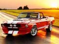 Peli Fancy Mustang Differences