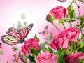 Peli Butterflies Puzzle