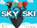 Peli Sky Ski