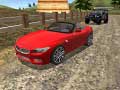 Peli Real Stunts Drift Car Driving 3d