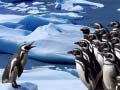 Peli Penguins Slide