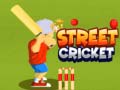 Peli Street Cricket