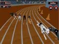 Peli Crazyl Dog Racing Fever