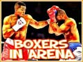 Peli Boxers in Arena