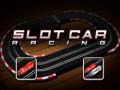 Peli Slotcar Racing