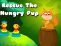 Peli Rescue the hungry pup