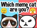 Peli Which Meme Cat Are You?