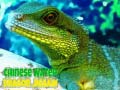 Peli Chinese Water Dragon Jigsaw