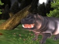Peli Wild Hippopotamus Hunting