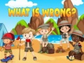 Peli What Is Wrong?