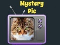 Peli Mystery Pic
