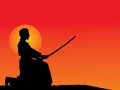 Peli Extreme Ninja Fight Memory